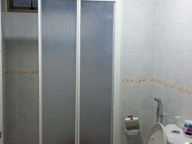 molek pine 1 Photo 6