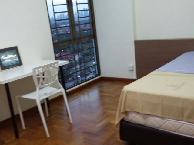 molek pine 1 Photo 8