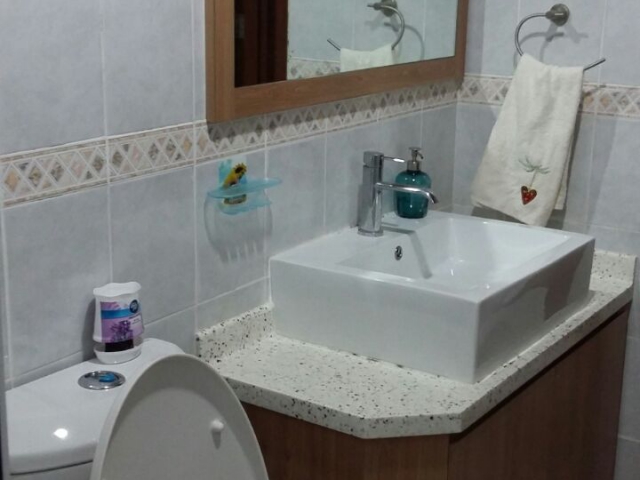 molek pine 1 Photo 9