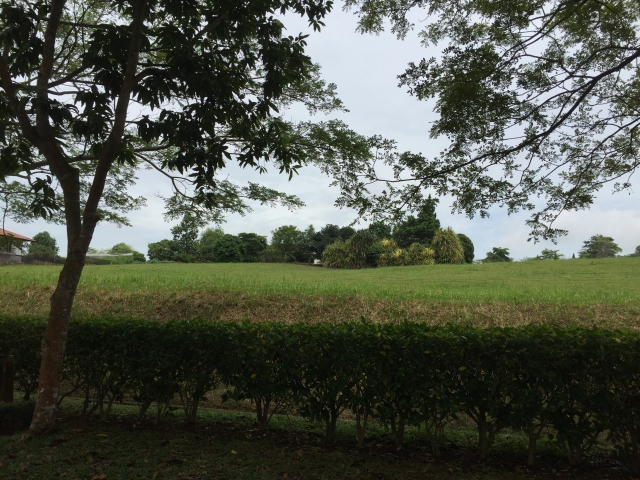 leisure farm resort land, gelang patah Photo 1