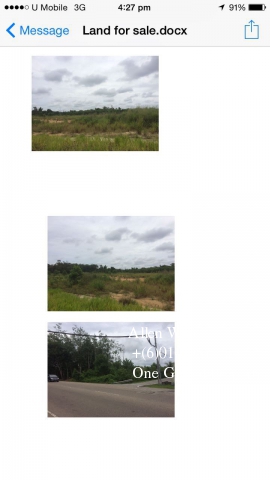 LAND FOR SALE:  Segamat, Johor photo