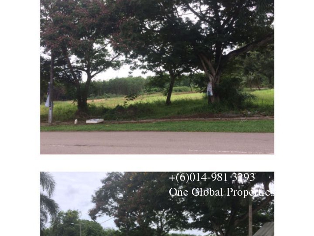 land for sale:  segamat, johor Photo 1