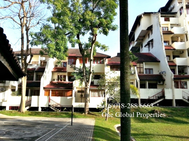 trellises ttdi Photo 7
