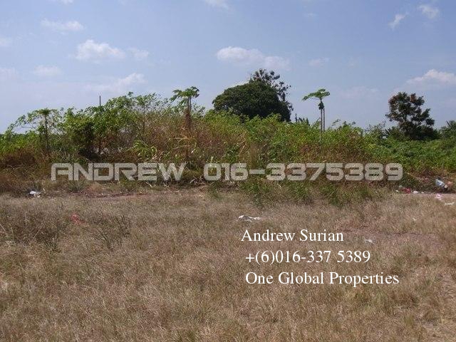 kluang agriculture land  Photo 1