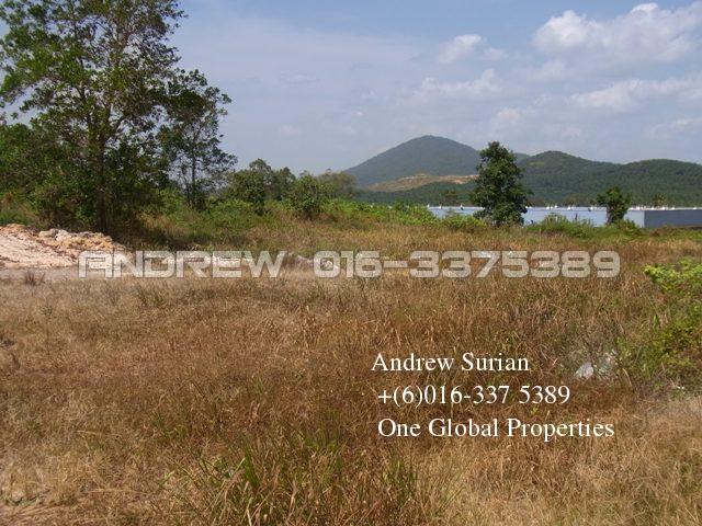 kluang agriculture land  Photo 2