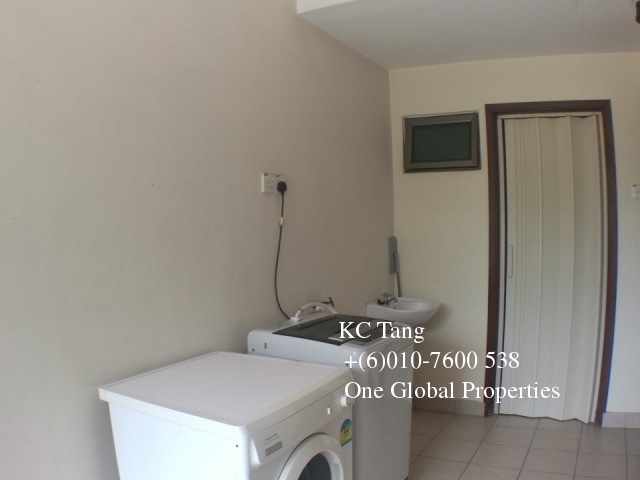 molek pine 2 Photo 6