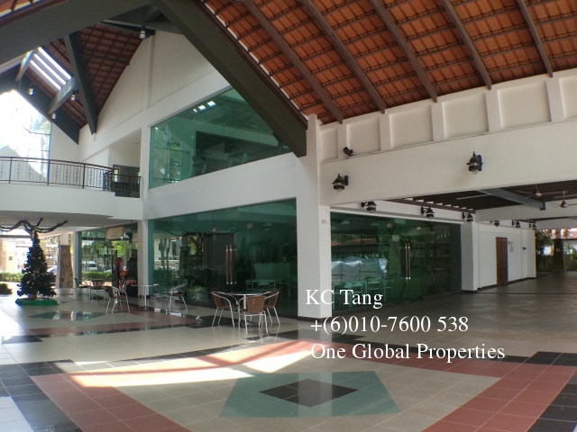 molek pine 2 Photo 10