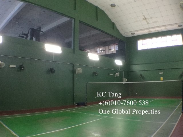 molek pine 2 Photo 11