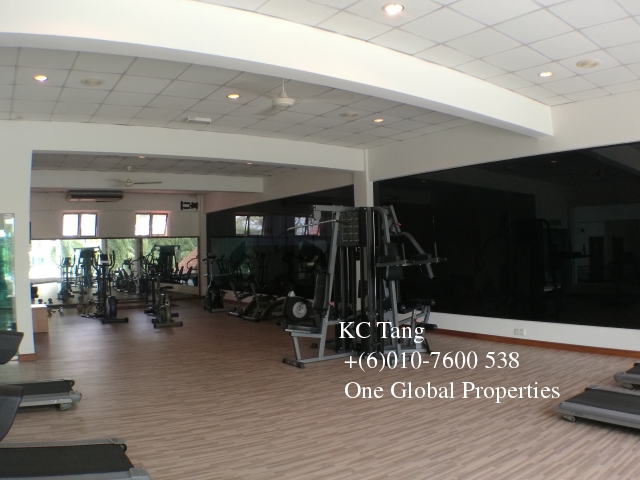 molek pine 2 Photo 12