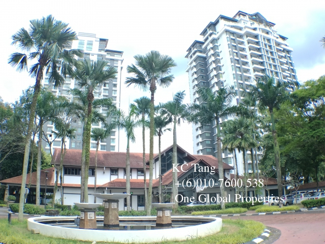 molek pine 2 Photo 8