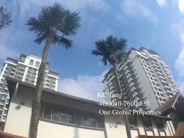 molek pine 2 Photo 9