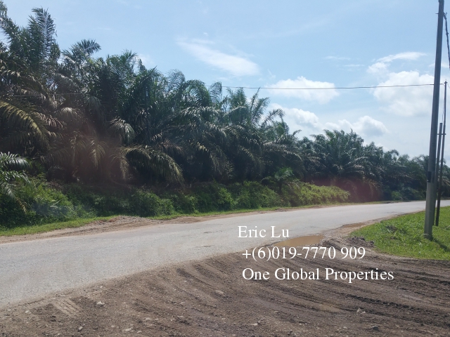 kulai inas 20 acre oil palm plantation rm128k Photo 4