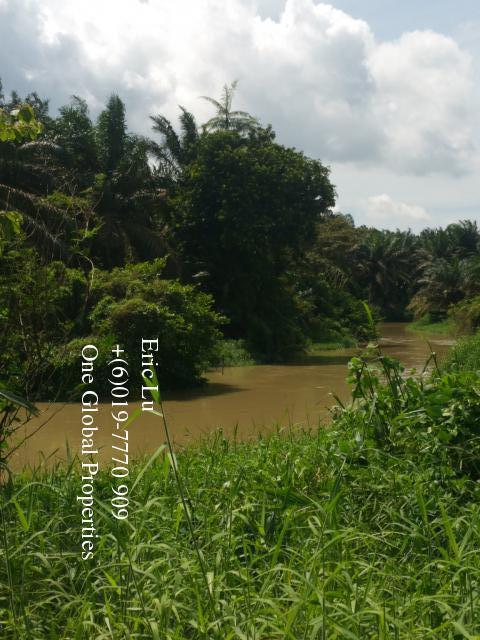 kulai inas 20 acre oil palm plantation rm128k 古来20依吉油棕园128千 Photo 6